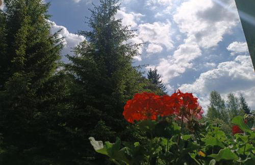 Strażnica Pod Lasem - Foto 50