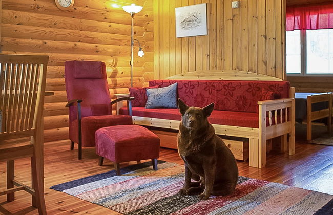 Kytöranta - Photo 19