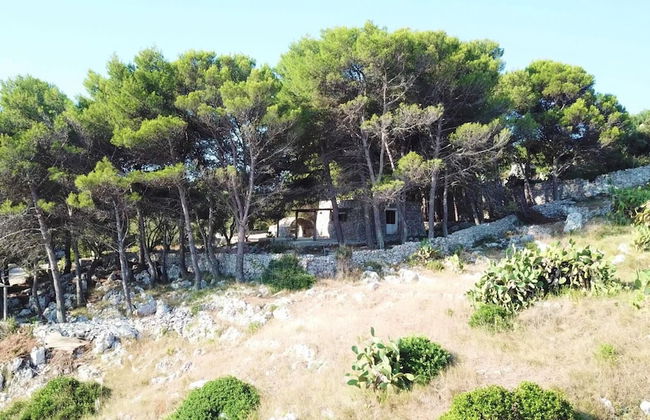 Cst002g in Castro With 1 Bedrooms and 1 Bathrooms - Foto 21