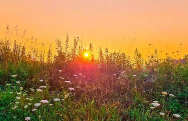 Cabin with Character - Foto 20