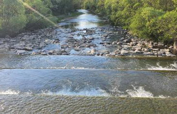 Green Willow Siedlisko - Foto 20