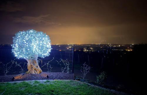 L'écrin d'Anne et Stéphane - vue sur Strasbourg - Foto 54
