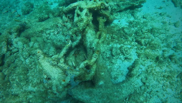 I fondali marini dell'Avana