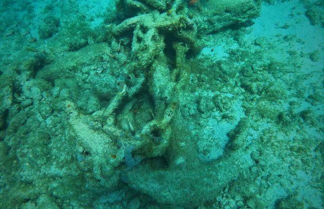 Snorkelling in Havana - Photo 2