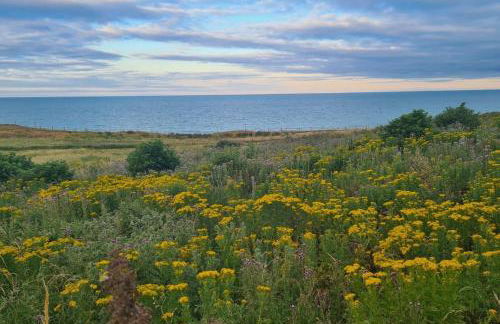 House on Costal Village free parking - Foto 24