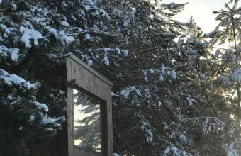 Na skraju gaju - Foto 20