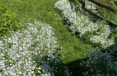 Huguette studio 18m2 - Foto 7