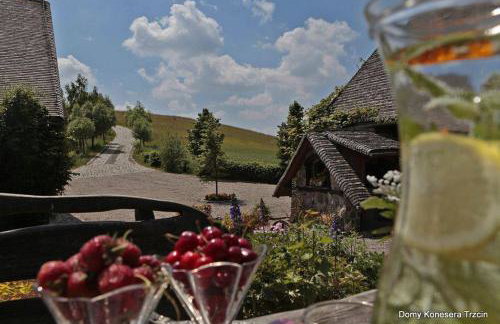 Domy Konesera - Foto 26