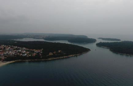 Rooms and Apartments Villa Dama - Photo 35