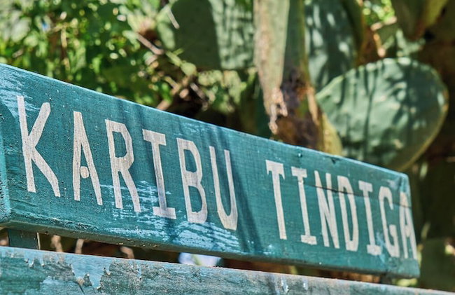 Tindiga Tented Camp - Foto 44