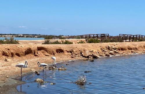 Higuericas Costa 208 - Playa Higuericas, perfect poolside penthouse - Foto 25