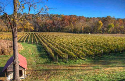 Hot Tub Nature Retreat 2 min to Bryce Resort - Foto 32