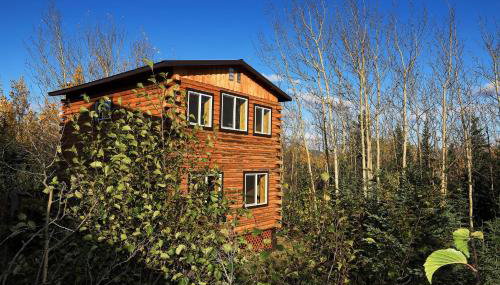 Denali Park View Family Log Cabin - Foto 1