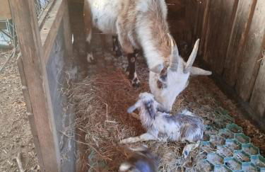 Bed and Bike Rheine - Foto 41