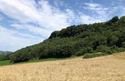 Agriturismo L'Esinante - Foto 62