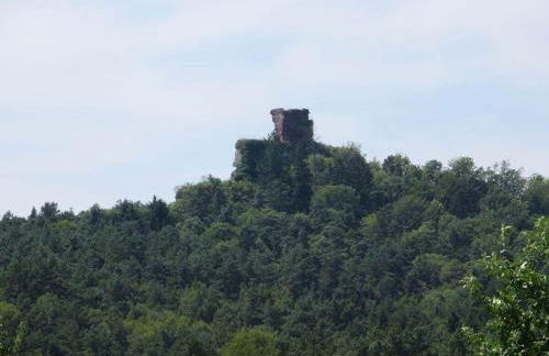 Haus am Kirchberg in Vita Garden - Foto 12