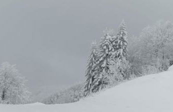 Lodge Pizzo Alpestre - Foto 20