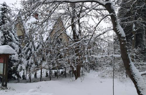 Apartamenty Krokiew - Foto 79