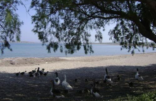 VILLA ANTHIMOS - Foto 38