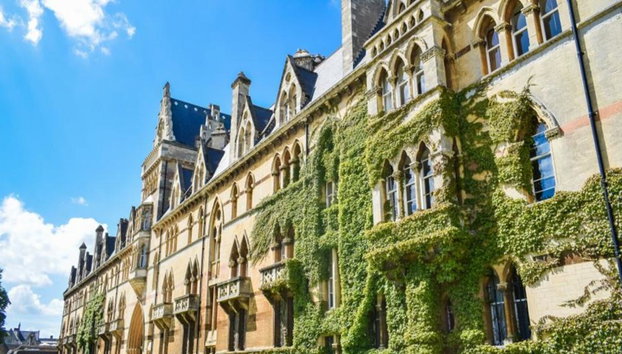 Top Sights of Oxford - Guided Walking Tour with Optional Divinity School Ticket - Foto 3