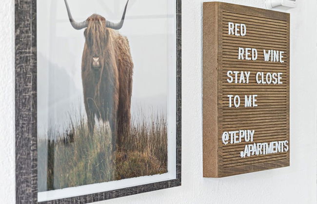 Lovely 2 BR Condo With Free Parking on Premises - Foto 7