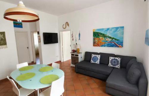 MarioSuite - Photo 15