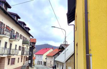 Apartman Lida u centru Fužina, Gorski kotar - Foto 19