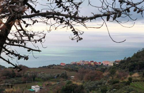 La notte sull'isola - Montaretto - tra il cielo e il mare - Foto 77