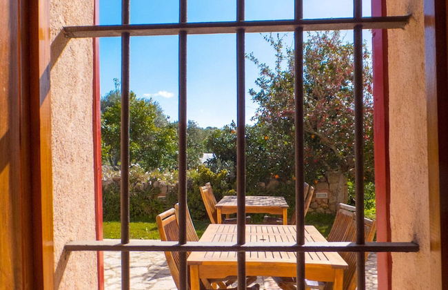 Finca Ses Cases Noves - Foto 76