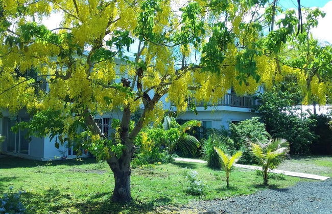 Cap Heureux Villas - Photo 25