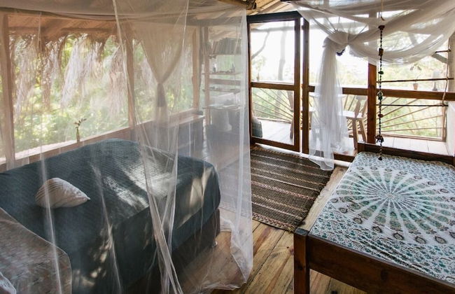 Sol de minca - Photo 24