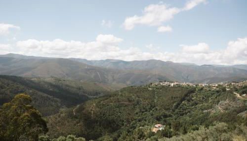 Quinta da Malhada - Foto 5