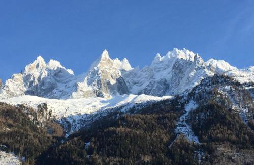 Le petit M Chamonix au pied du Brévent - Photo 13