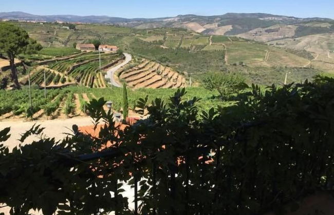 Quinta dos Espinheiros - Foto 33