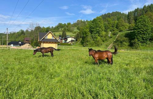 Gorczańskie Domki - Photo 34