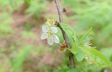 Villa Visconde - Photo 14