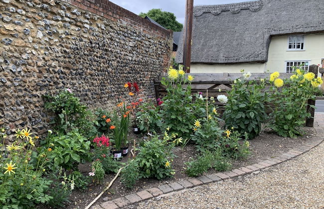 Pet Friendly With Enclosed Leafy Outdoor Space - Foto 16