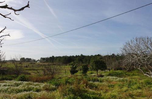 Holiday Home Schönes Landhaus mit Tauchbecken- Strand 3km by Interhome - Foto 18