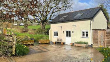 Characterful, Cosy Dartmoor Cottage - Foto 1, Garden view