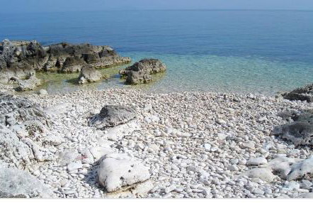 Apartman Nicol - Photo 13