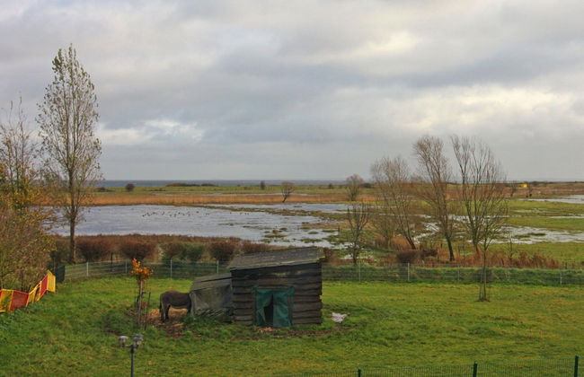 Apartment in Behrensdorf Near Baltic Sea - Foto 33