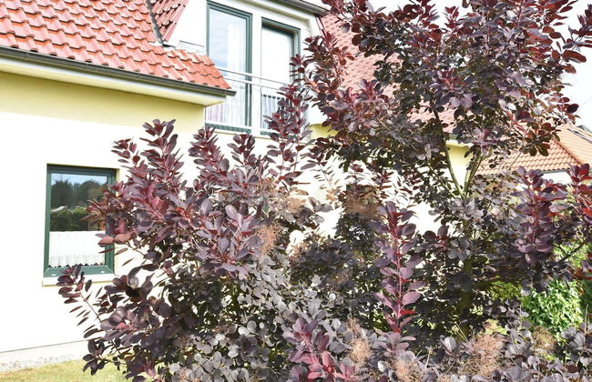 Apartment in Kuhlungsborn Near the Baltic Sea - Foto 28