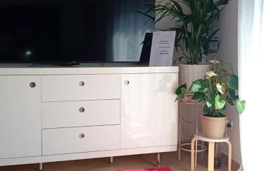 El estudio de las mariposas,sofa cama , cocina y baño - Photo 4