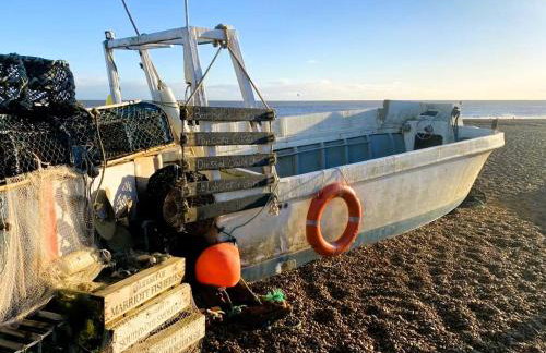 Beautiful Immaculate Aldeburgh cottage, free parking, sunny outdoor space, dog friendly - perfect for Spring seaside escapes - Foto 31