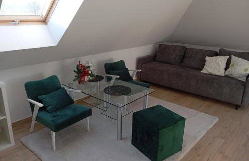 Apartment/mieszkanie u Janusza - Photo 9