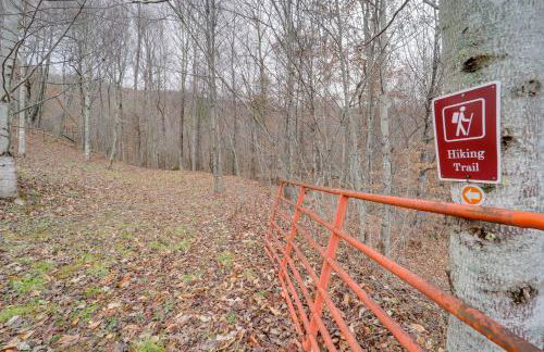 Hike, Ski and More Blue Ridge Mountain Escape - Photo 32