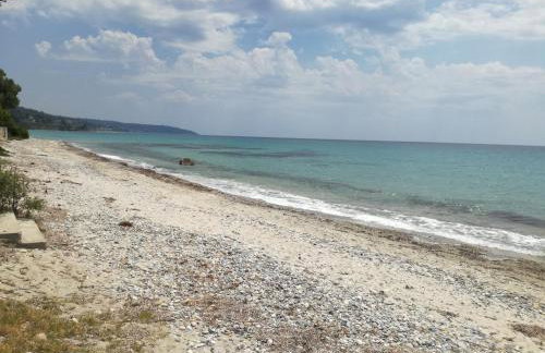 House Nativa - Foto 24