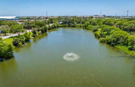 The Texas Pearl - Foto 2