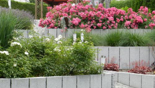 Ferienwohnung Schwendemann - Photo 5