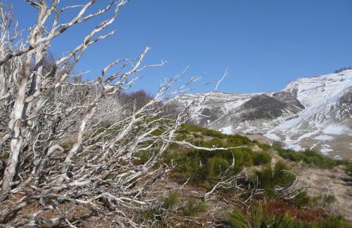 BIENVENUE AU LIORAN - Photo 17